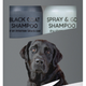 Greenfields Labrador Plejesæt - Black Coat Shampoo & Tørshampoo, 2x270 ml