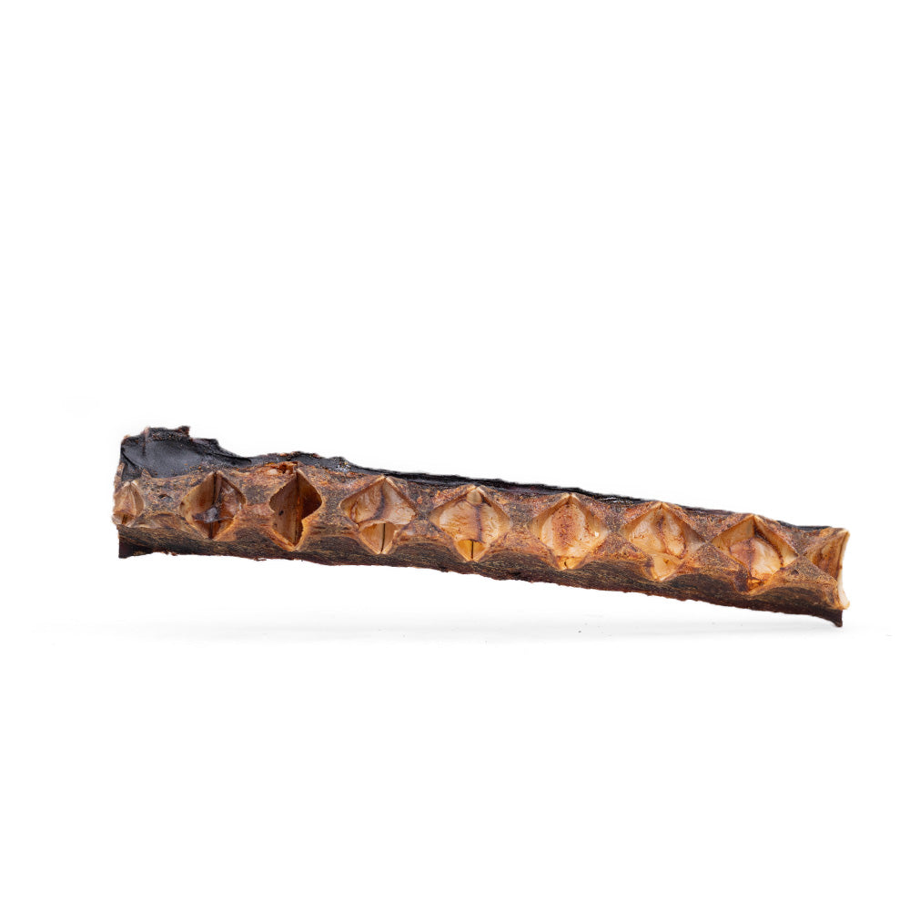 Snack'it Tunben 12-22 cm, 200 g