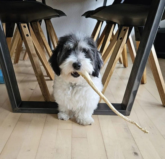 Trixie - Bøffelhale