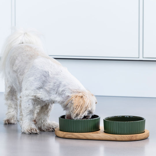 Dog Copenhagen - Kronborg Food Bar, Racing Green/Oak