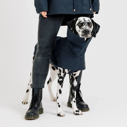 Cloud7 regnfrakke, Lewis, Navy Blue