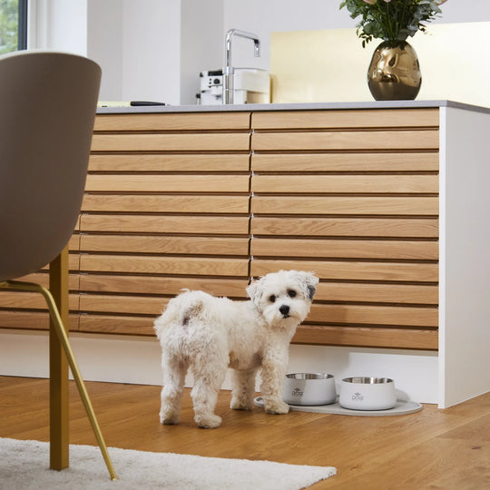 Dog Copenhagen - Libra Skåleunderlag, Racing Green