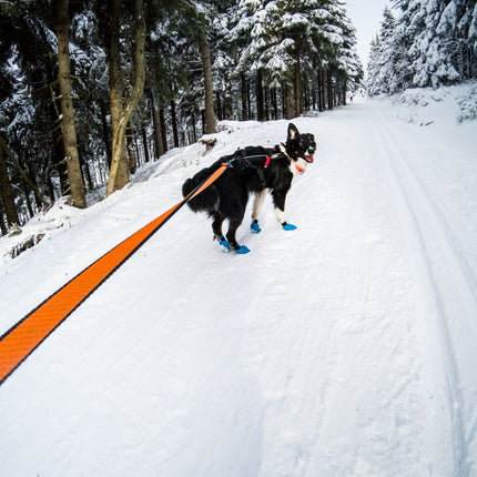 Non-stop Dogwear - Bungee leash, orange/sort
