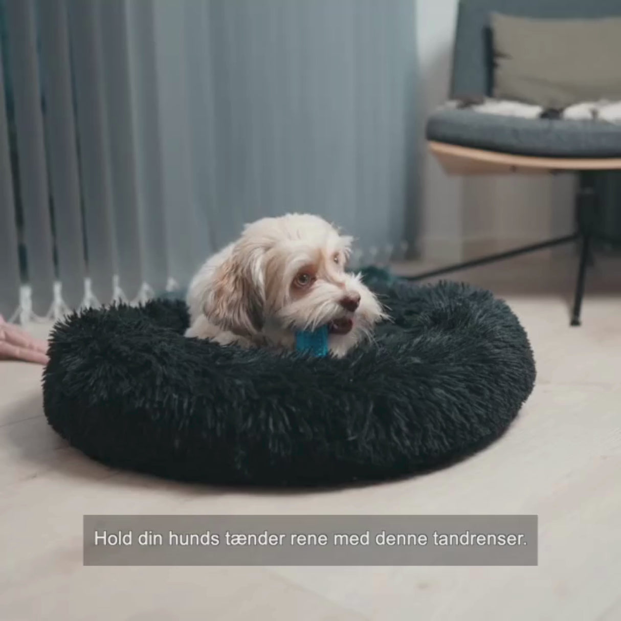 Effektiv tandrenser