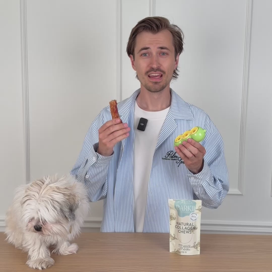 ChewSafe - Tyggebensholder & Tandrenser til Hunde