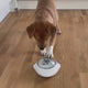 Snack Popper
