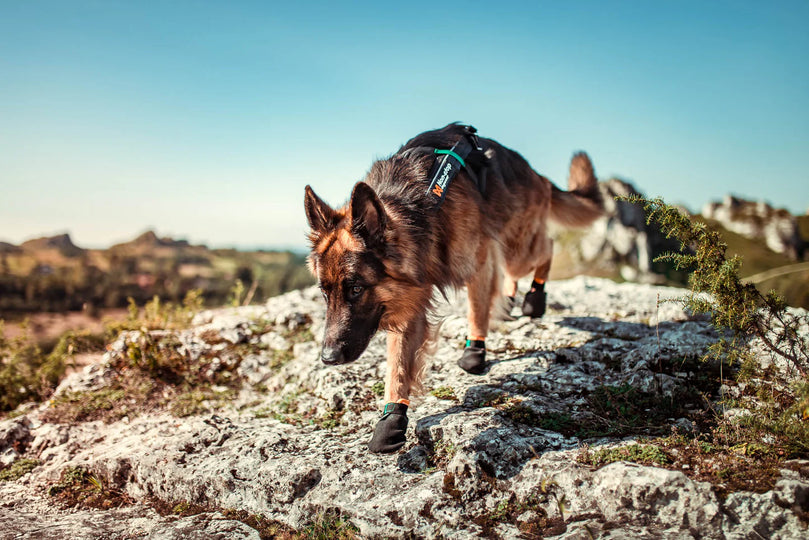 Non-stop Dogwear - Protector Bootie (4-pak)