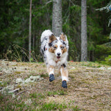 Non-stop Dogwear - Protector Bootie (4-pak)