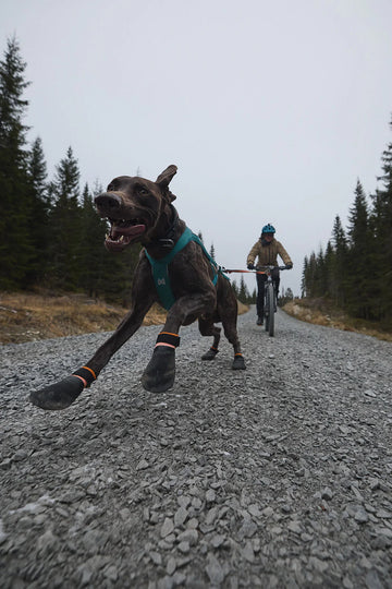 Non-stop Dogwear - Protector Bootie (4-pak)