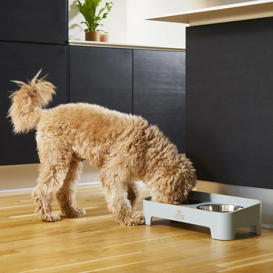 Dog Copenhagen - Skagen Food Bar, Grey Sand