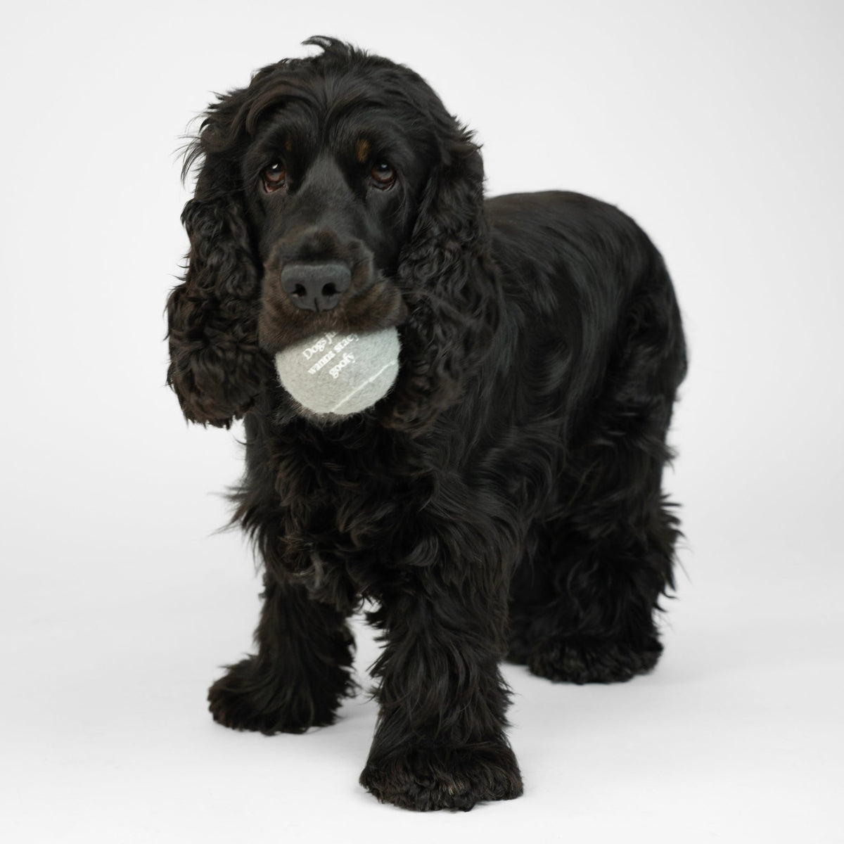 Squeaker Bolde, 2-pak – Staey