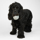 Squeaker Bolde, 2-pak – Staey