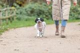 Trixie Norwood hundepullover i blush
