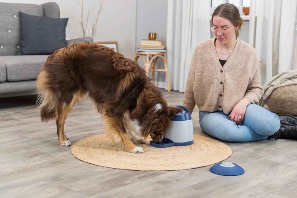 Trixie - Memory Trainer Aktiveringslegetøj