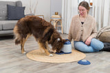 Trixie - Memory Trainer Aktiveringslegetøj