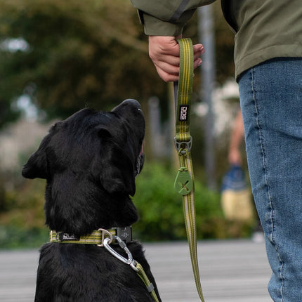 Dog Copenhagen Urban Freestyle™ hundesnor Hunting Green