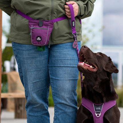 Dog Copenhagen Urban Rope™ Line, Purple Passion