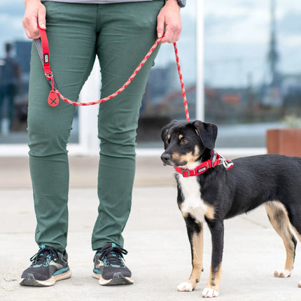 Dog Copenhagen Urban Rope™ Line, Wild Rose