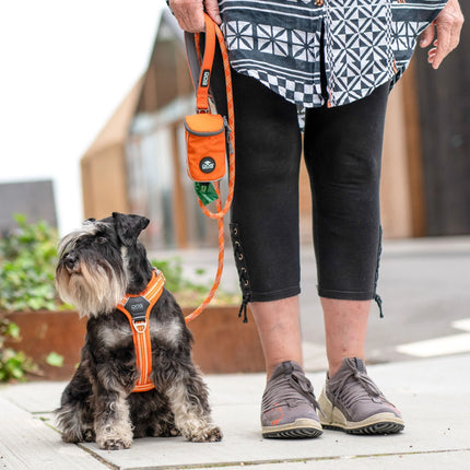 Dog Copenhagen Urban Rope™ Line, Orange Sun