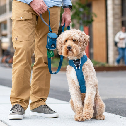 Dog Copenhagen Urban Trail™ hundesnor Ocean Blue