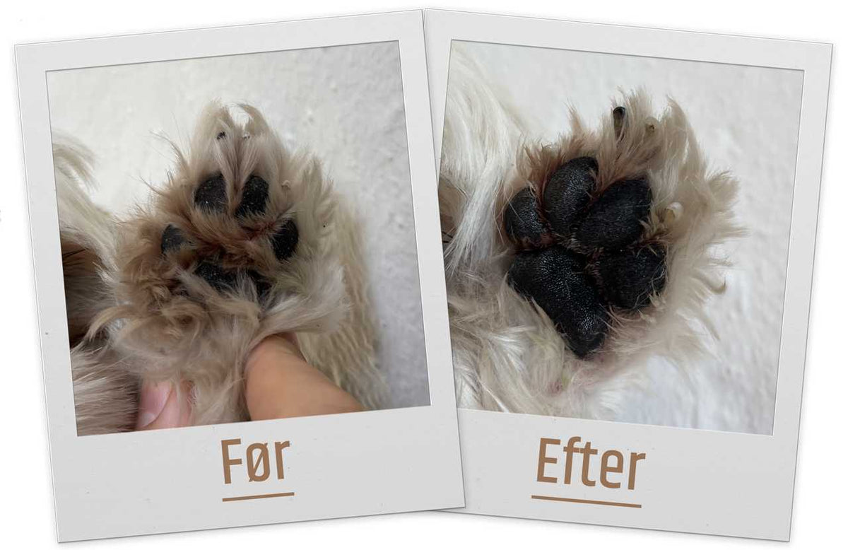 B&B Poteklippemaskine B&B
