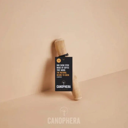 Canophera Tyggepind af Kaffetræ Canophera