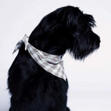 Cloud7 bandana, Wild Blossom Cloud7