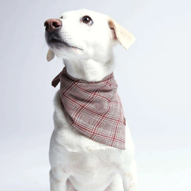 Cloud7 bandana, ternet mørk blå og beige Cloud7