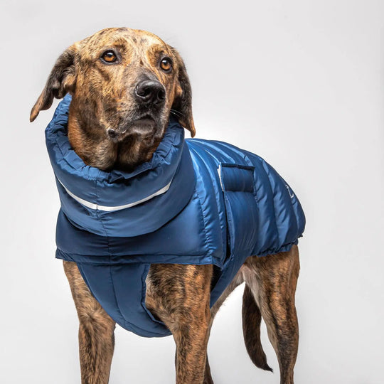 Cloud7 hundefrakke Alaska midnight Cloud7