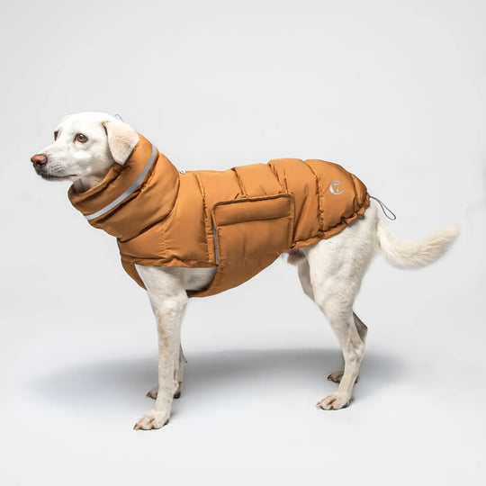 Cloud7 hundefrakke Alaska midnight Cloud7