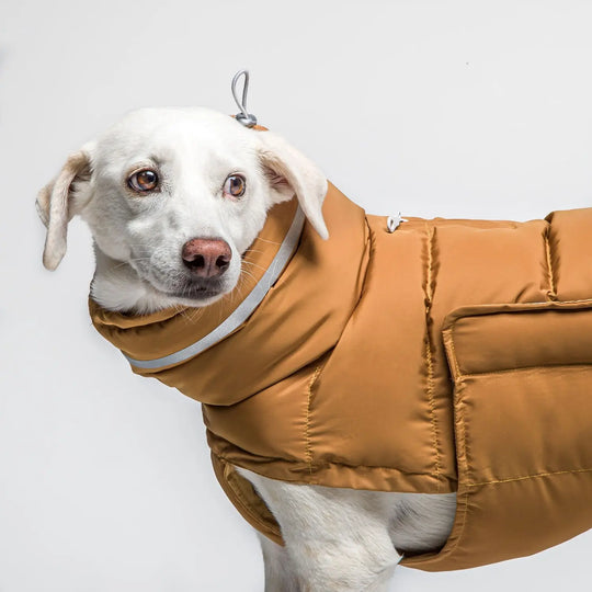 Cloud7 hundefrakke Alaska midnight Cloud7