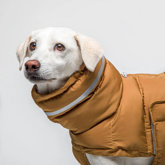 Cloud7 hundefrakke Alaska midnight Cloud7