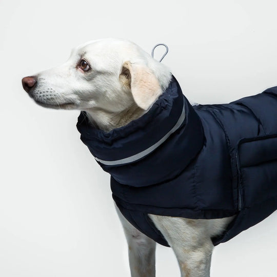 Cloud7 hundefrakke Alaska midnight Cloud7