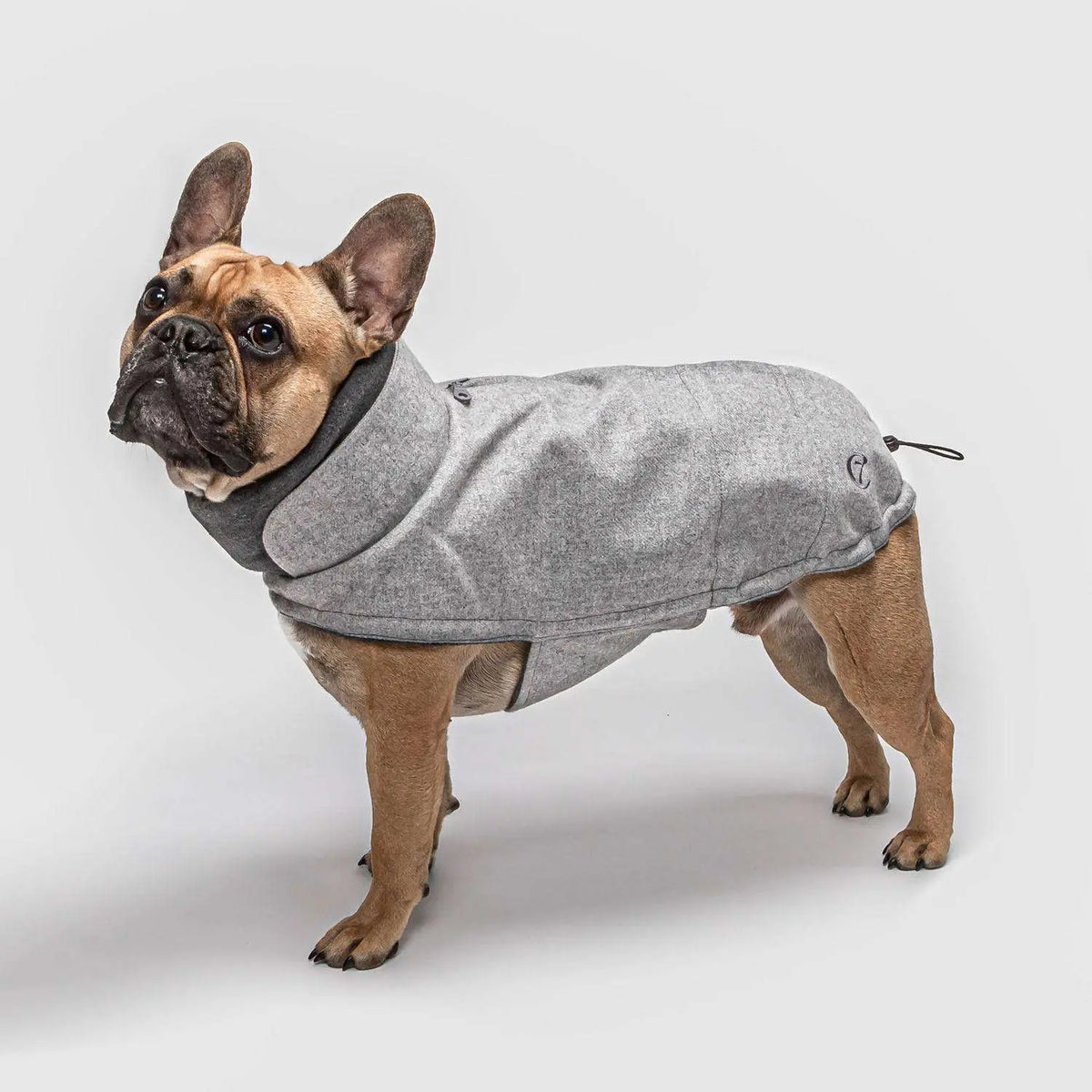 Cloud7 hundefrakke til Fransk Bulldog, Brooklyn, Grå Cloud7