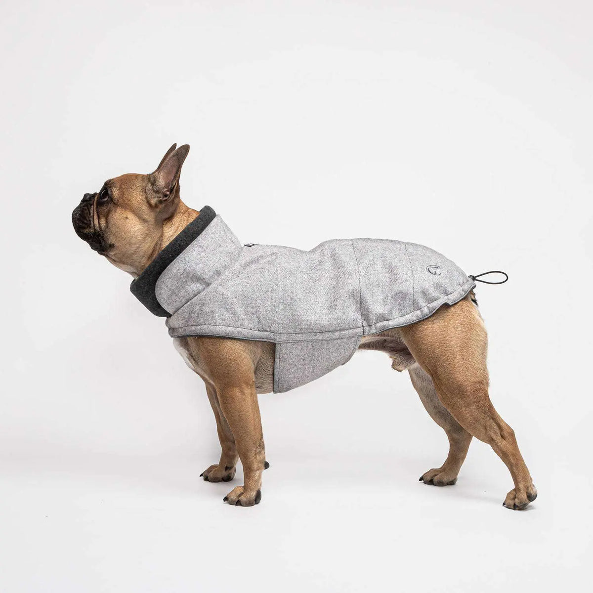 Cloud7 hundefrakke til Fransk Bulldog, Brooklyn, Grå Cloud7