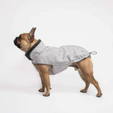 Cloud7 hundefrakke til Fransk Bulldog, Brooklyn, Grå Cloud7