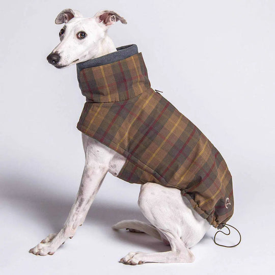 Cloud7 hundefrakke, Brooklyn, Skotsternet Cloud7