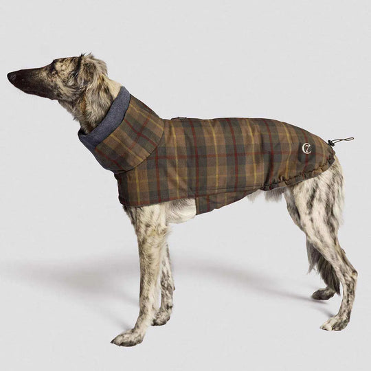 Cloud7 hundefrakke, Brooklyn, Skotsternet Cloud7