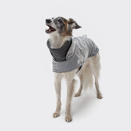 Cloud7 hundefrakke, Brooklyn, reflekterende Cloud7