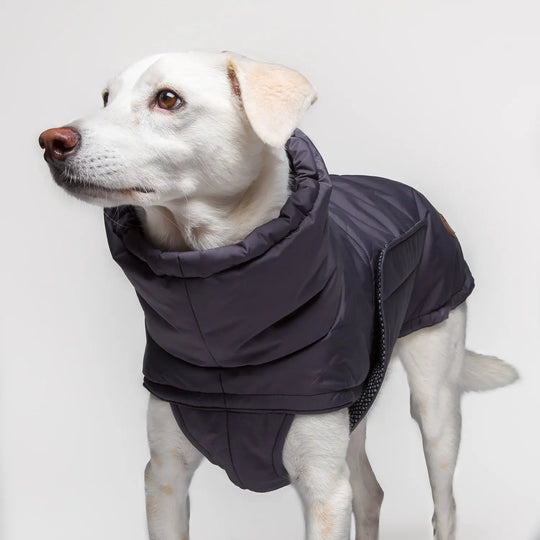 Cloud7 hundefrakke, Yukon, Neon Orange Cloud7