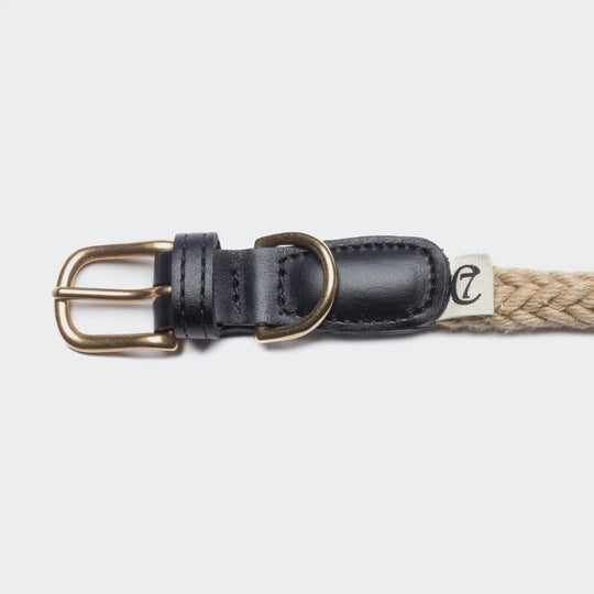 Cloud7 hundehalsbånd - Planten Sort/Natur Cloud7