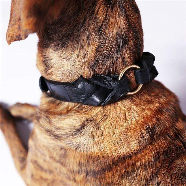 Cloud7 hundehalsbånd, Hyde Park, Sort Cloud7