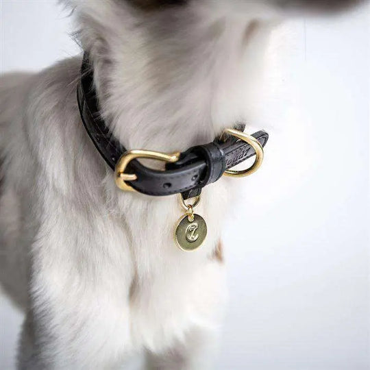 Cloud7 hundehalsbånd, Hyde Park, Sort Cloud7