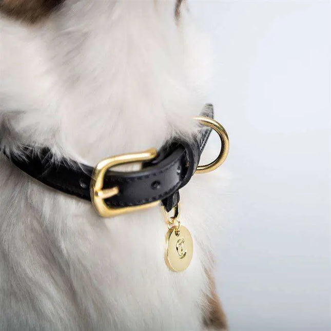 Cloud7 hundehalsbånd, Hyde Park, Sort Cloud7