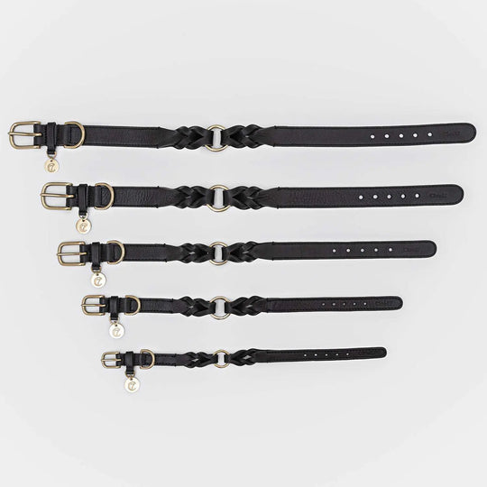 Cloud7 hundehalsbånd, Hyde Park, Sort Cloud7