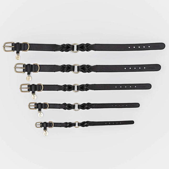 Cloud7 hundehalsbånd, Hyde Park, Sort Cloud7