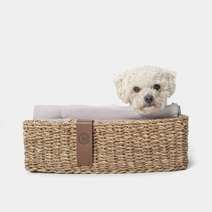 Cloud7 hundeseng, Hideaway, Jade Cloud7