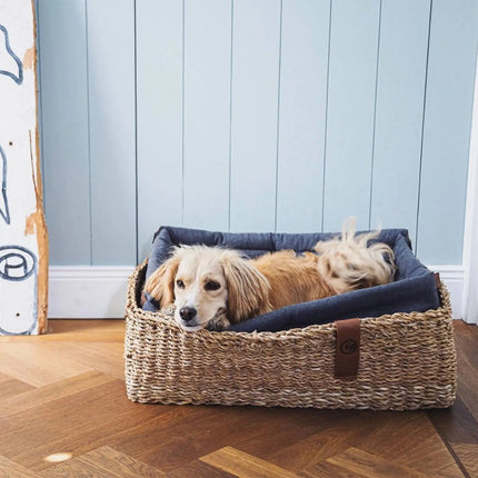 Cloud7 hundeseng, Hideaway, Jade Cloud7