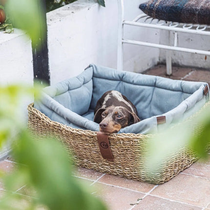 Cloud7 hundeseng, Hideaway, Jade Cloud7