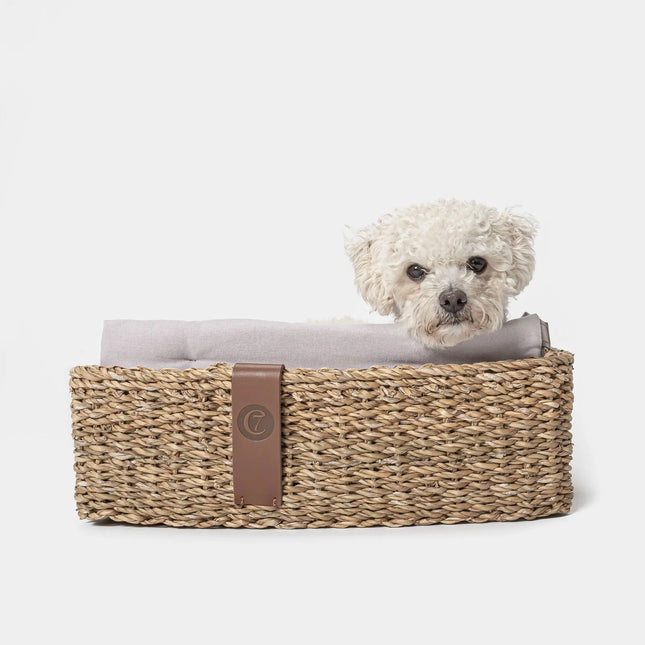 Cloud7 hundeseng, Hideaway, Plum Cloud7